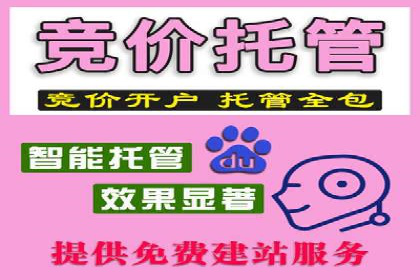 谷歌SEM成功案例：助力企业业绩增长